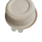 100% eco friendly Disposable Biodegradable Compostable Sugarcane biodegradable tableware