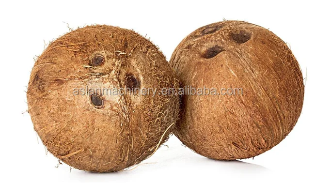 coconut breaker14.png