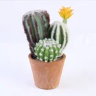 Ornaments Manufacturer Plants Artificial Manufacturer Ornamental Bonsai Plants Wholesale Decorative Artificial Cactus