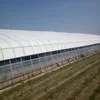 /product-detail/hot-sale-tunnel-single-span-plastic-film-greenhouse-green-house-for-agriculture-62269334901.html