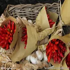 Guochen GC1001 Beijing Red Fresh Scotch Bonnet Peppers Frozen Red Chilli