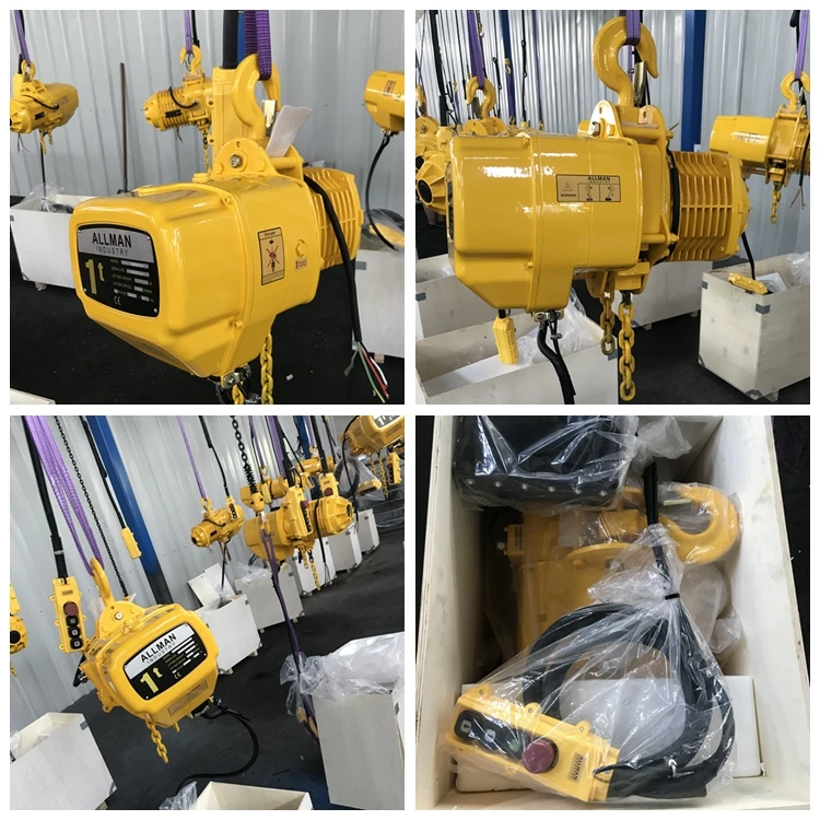 ALLMAN 1ton hoist.jpg