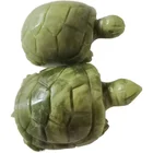 Products Hot New Products Engrave Animal Cute Tortoise Jade Hand Carved Jade Turtle