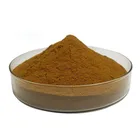 Hot sale food and pharm grade 98% polyphenols green tea extract