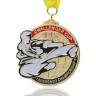 Free Sample Custom Metal Gold Silver Plated Taekwondo Medallion Karate Medals