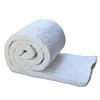 /product-detail/1260c-fireproof-insulation-ceramic-fiber-blanket-60803540536.html