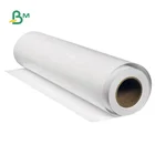 RC Luster Inkjet Photo Paper Roll For Dye Pigment Printer 12" 17" 24" * 30M