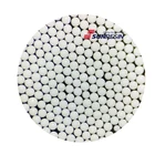 Resin Macroporous Resin Monodisperse Macroporous Strong Base Anion Resin