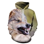Winter And Spring Custom Sublimation Printing Sweatshirt 3d Hoodies For Unisex