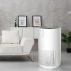 whole house true hepa filter air purifier China