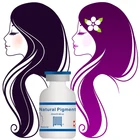 OEM Your Brand Bubble Hair Dye Product Black Hair Color
