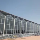 Factory hot new products agricultural used glass greenhouse