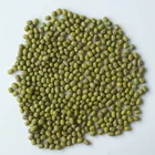whole green mung beans wholesale