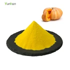 Pure Natural Organic Bulk Dry Pumpkin Powder