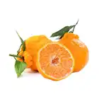 Freshy Mandarin Orange Citrus Orange For Sale /Japanese orange