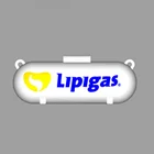 Custom Gas Tank USB Flash Drive 4GB Free shipping to the USA