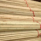 HOT!! Natural yellow Bamboo Poles Straight Fumigation for garden