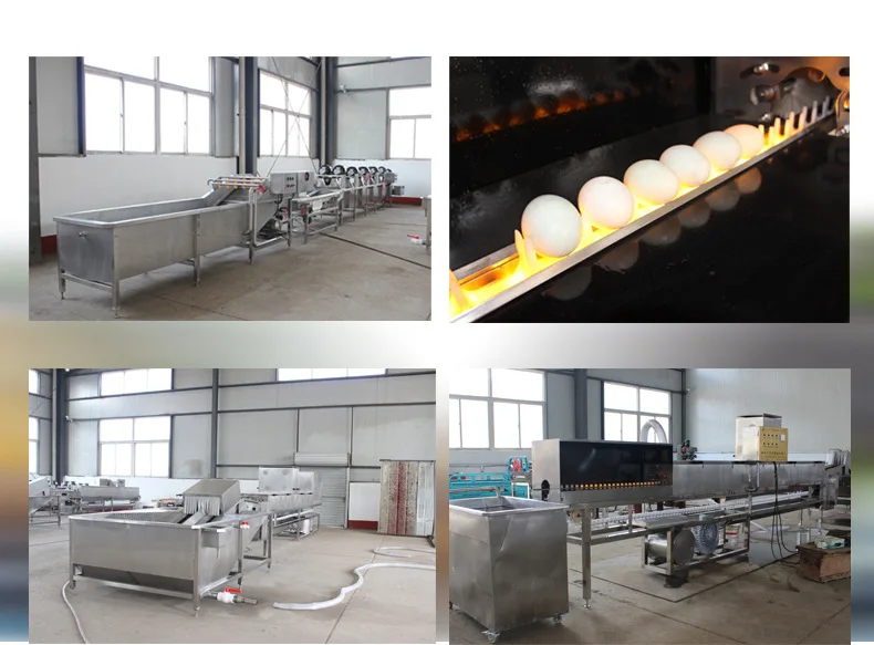 Automatic Egg Grader Size Weight Sorting Grading Packing Processing Machine Chicken Egg Cleaning and Weight Sorter Machine supplier