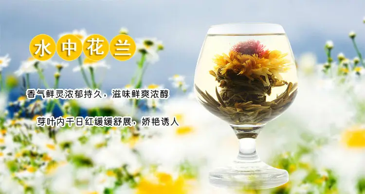 Y06-Water-flower-blue-1.jpg