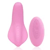 /product-detail/adult-sex-toys-wireless-remote-control-clit-stimulation-mini-wearable-panty-vibrator-for-woman-62416430851.html