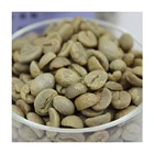 Green Coffee Beans Greengreen Arabica Green Coffee Beans With High Quality Yunnan Coffee Beans