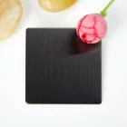 PVD Mirror Double Color Coating Stamped Finish Art Decorative Stainless Steel Sheet