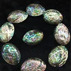 Abalone Shell High Quality And Inexpensive Polished Natural Rainbow Color Large Original Abalone Shell