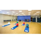 Indoor Multipurpose Sports Flooring--Professional