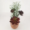 /product-detail/red-color-artificial-succulents-garden-plant-in-poly-resin-pot-62308334988.html