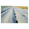Agriculture cover pp spunbond nonwoven fleece plant cover ground cover fabric