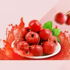 Packaging Customization Halal Snacks HALAL SNACKS HAWTHORN BERRY