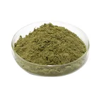 Marigold Extract Moringa Powder Price Factory Price 100% Pure Moringa Leaf Extract Moringa Powder