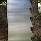 Customized punching wood Cutting band Saw Blade For Sawing Wood