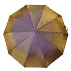 Chameleon color changing satin umbrella with fun