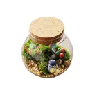 Factory Gift Customized Mini Landscape Moss Bottle Succulent Plant Vase