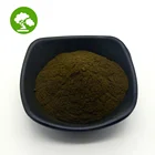 Black Ant Black Hot Sale Black Ant Extract Powder 10:1 In Bulk