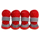 Customize Breathable Antislip Dog Mature Shoes Cute For