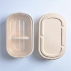 High Quality biodegradable disposable paper pulp takeaway food container lunch box