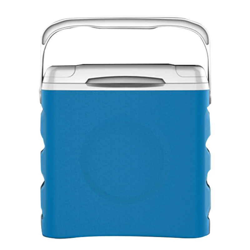Weili High Quality Durable Ice Cooling Box 12v USB Fresh food drink Car Cooler Box