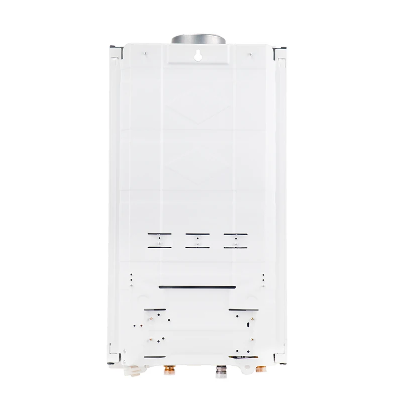 balanced flue gas water heater