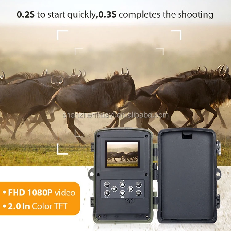 hunting camera (5).jpg