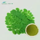 Moringa Oleifera Leaf Extract Powder/10%Saponins