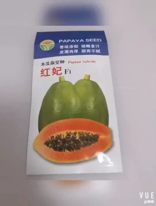 2021优质木瓜种子杂交f1 - buy papaya seeds f1