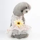 New Two Pieces Wholesale Spring and Summer Dog Dress Pet Costumes