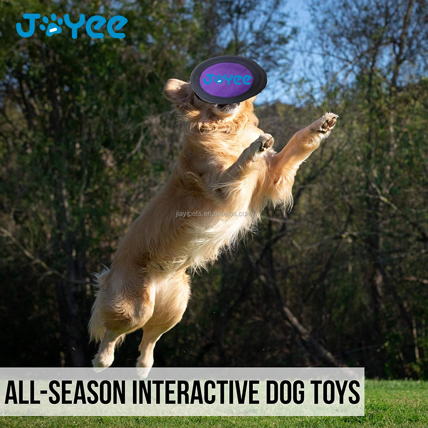 dog flying disc frisbee 2 pack flyer disc dog toy