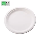 Disposable Plate Disposable Plate Disposable Biodegradable Bagasse Sugarcane Plate For Wedding