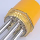 Food Beverage Factory Bright Customsized 440v Electronic Thermostat Electric Water Flange Immersion Heater for Solar Tank
