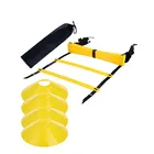 Wholesale Professional equipment sports agility training ladder with cones
