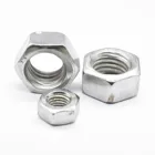 DIN934 M1 M1.2 M1.4 M 1.6 Carbon Steel Galvanized Hex Nut