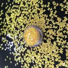 Butterfly Glitter Suppliers Butterfly Glitter Flake